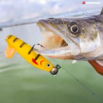Honey Perch 7.jpg