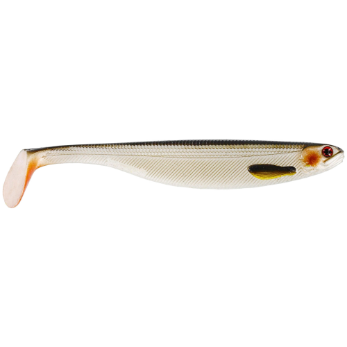 LIVELY ROACH.png