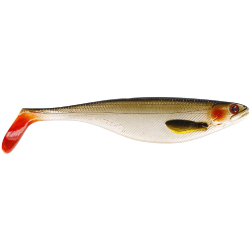 LIVELY ROACH.png