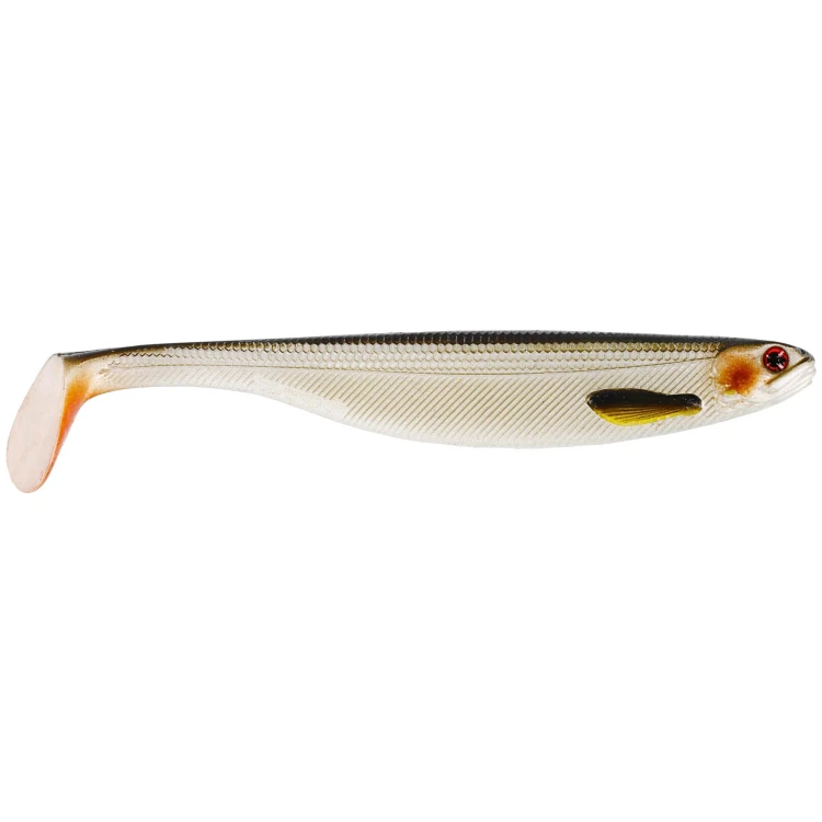LIVELY ROACH.png