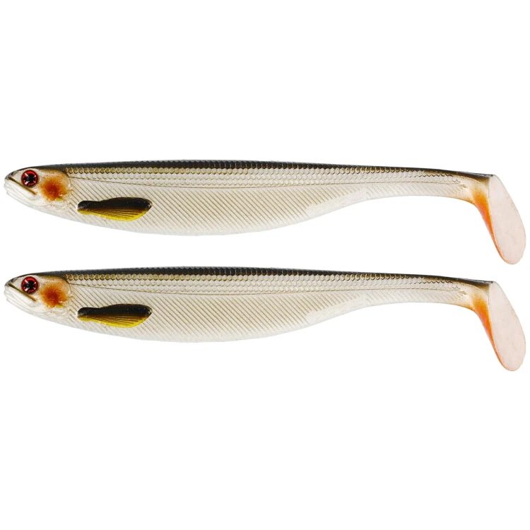 LIVELY ROACH 12-14cm.png