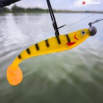 Honey Perch 5.jpg
