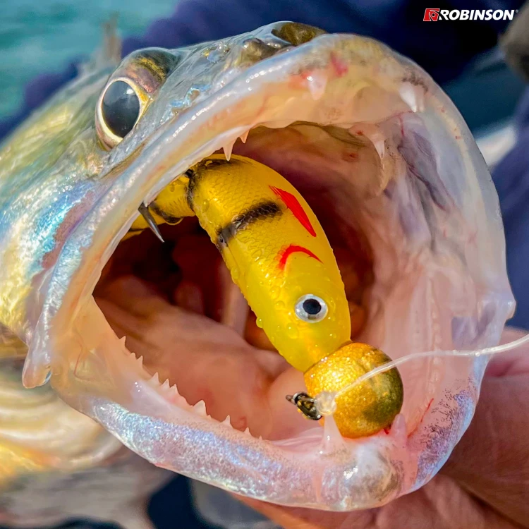 Honey Perch 6.jpg