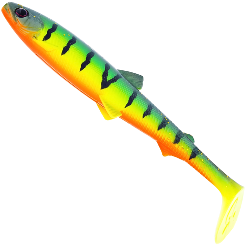 TIGER PERCH 1.png