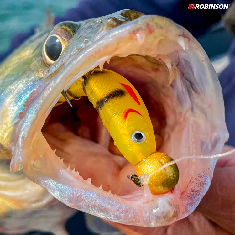 Honey Perch 6.jpg