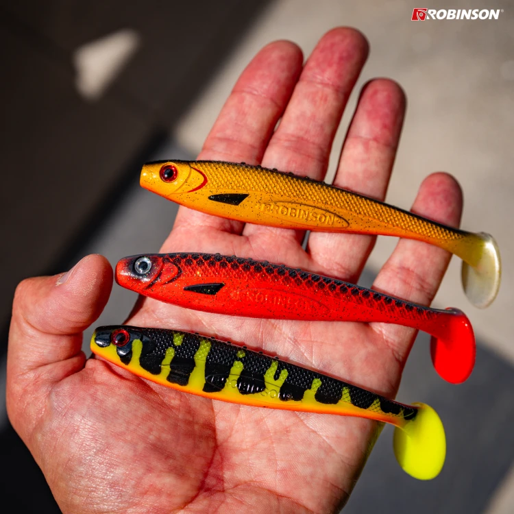 Orange Shiner 5.jpg