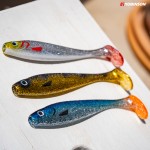Perch Shiner 4.jpg