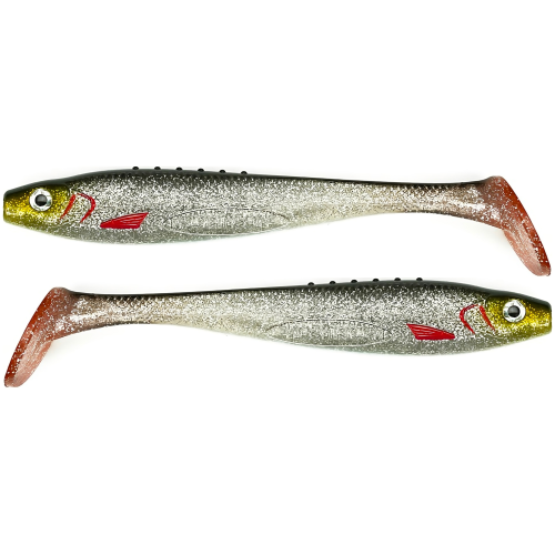 Silver Shiner 1.png