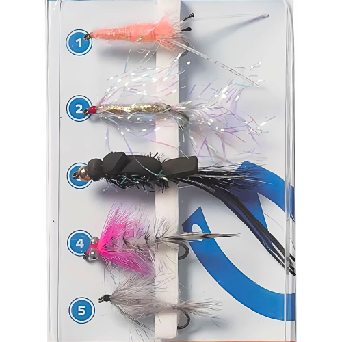 2_COAST FLIES 4.png