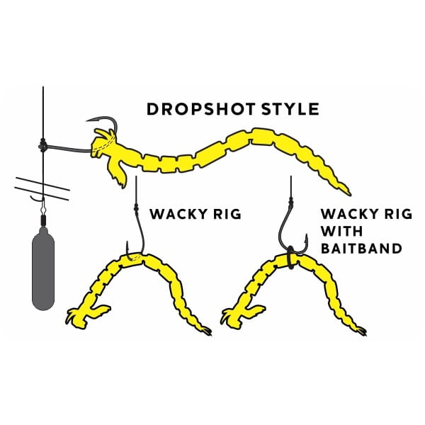 P001_BloodTeez Worm_X1.jpg