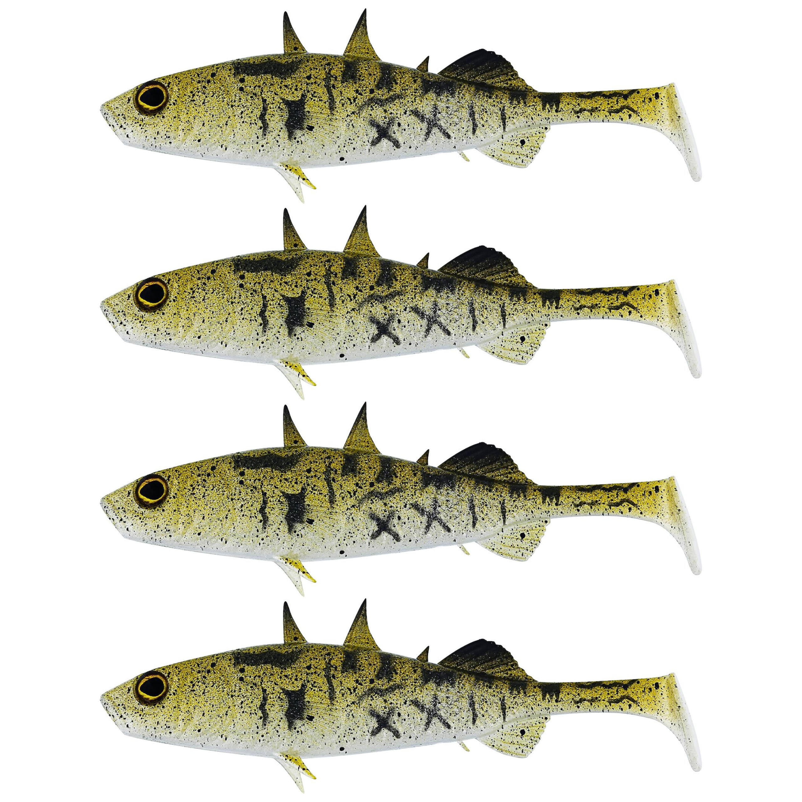 Stickleback 5,5cm.png