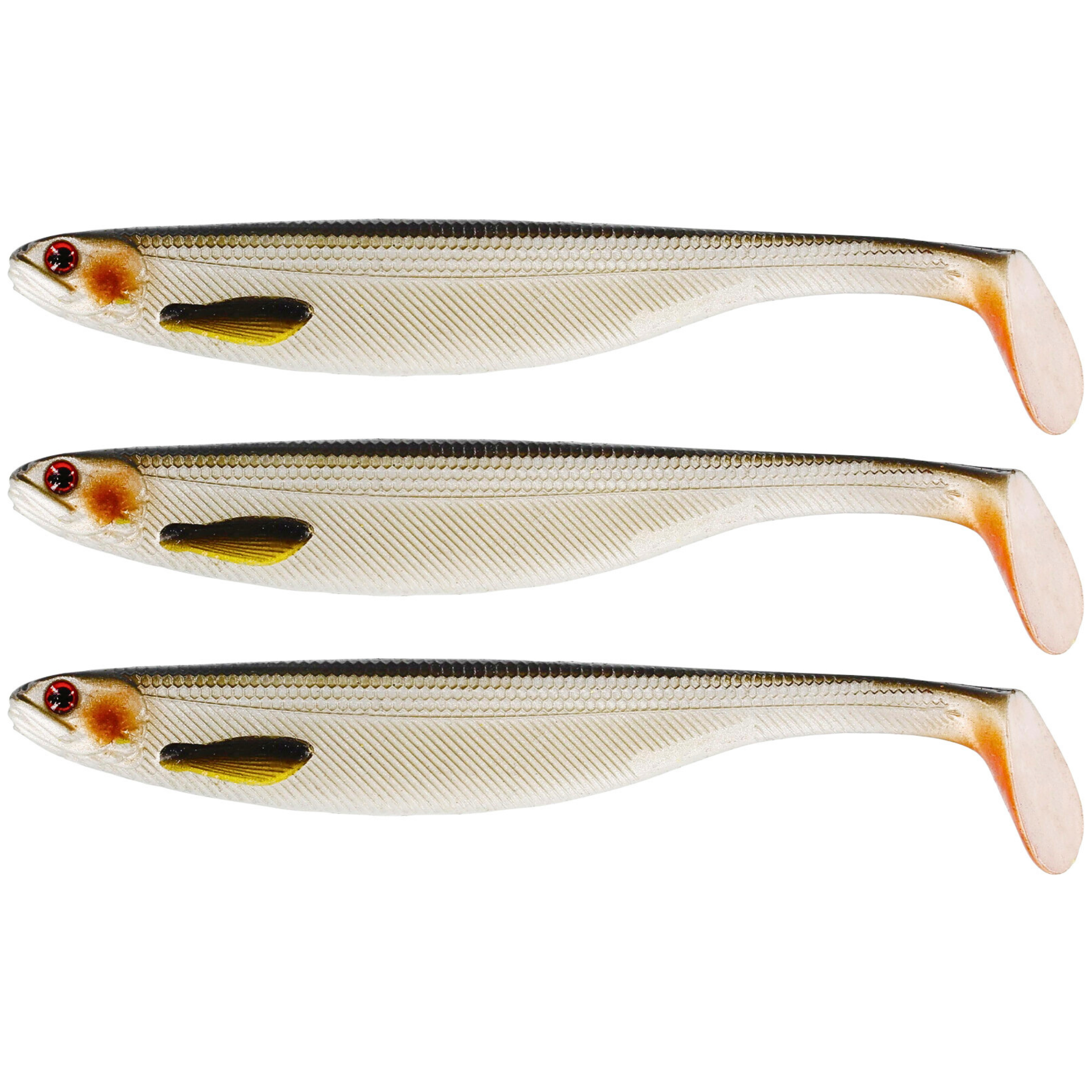 LIVELY ROACH 10cm.png