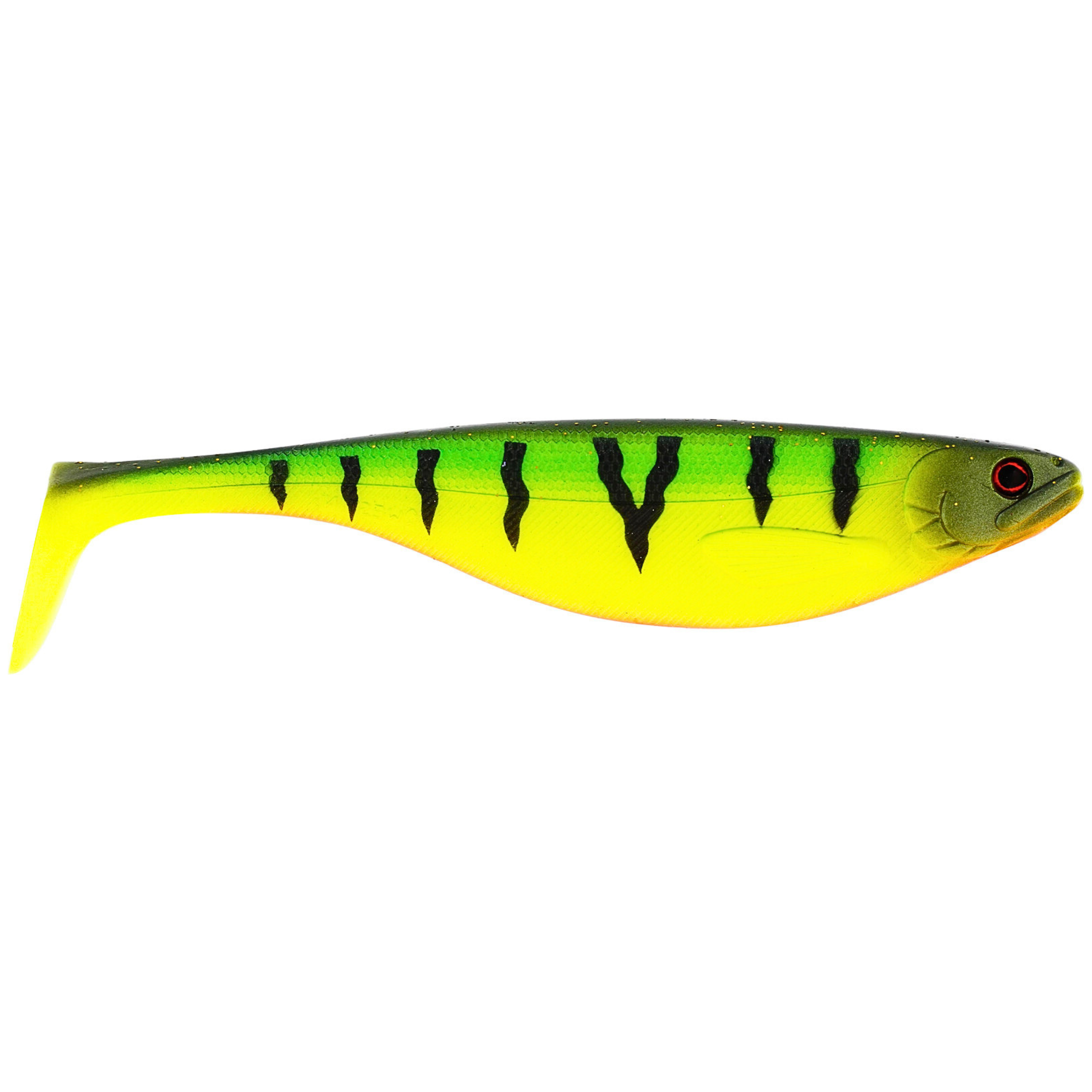 TIGER PERCH.png