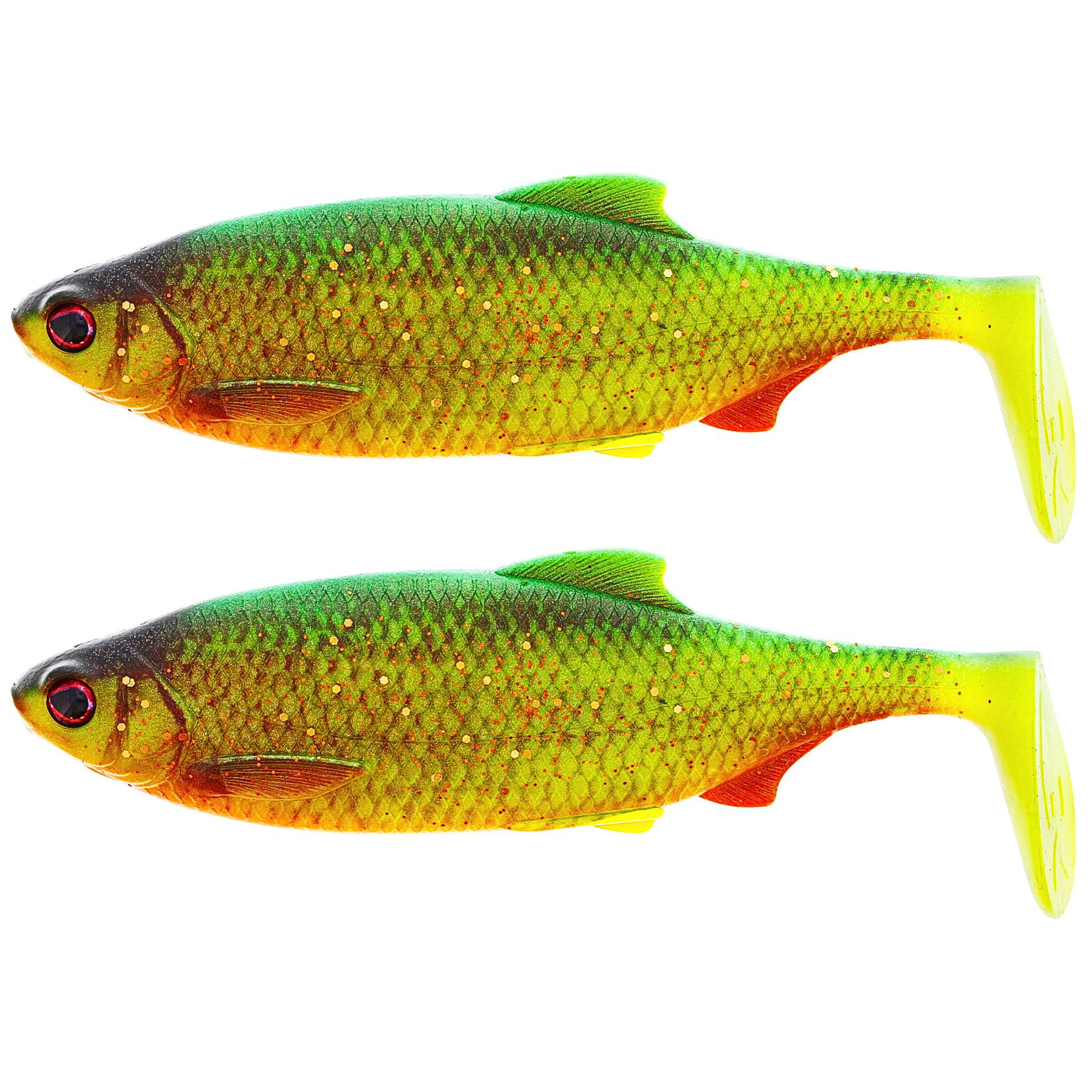Firetiger Rudd 10cm 2.png