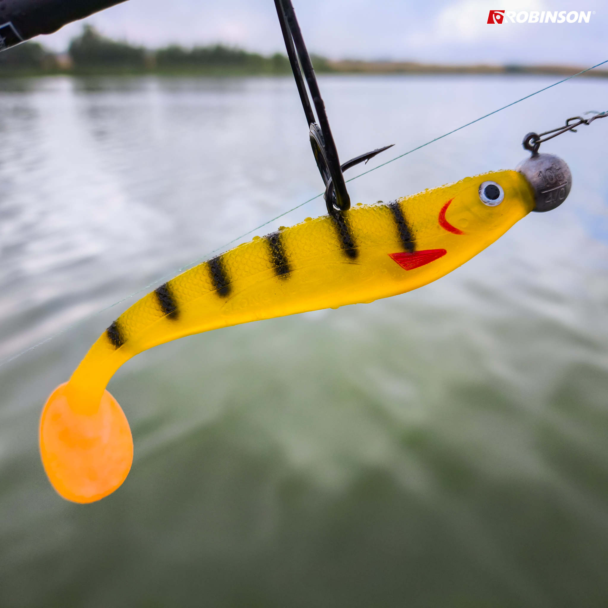 Honey Perch 5.jpg