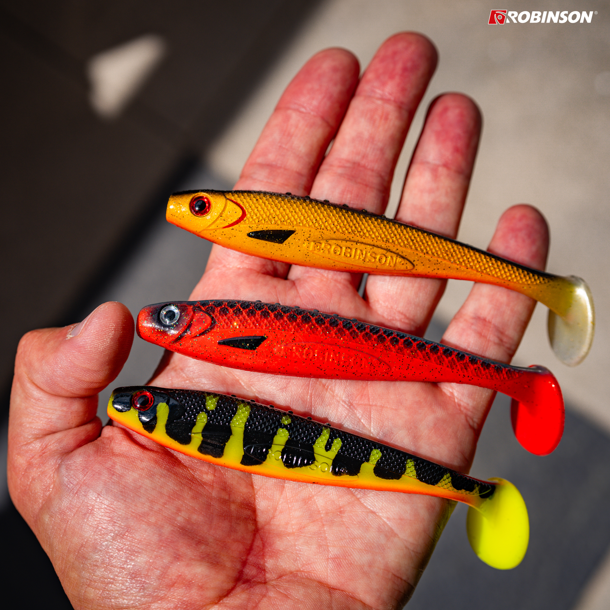 Orange Shiner 5.jpg