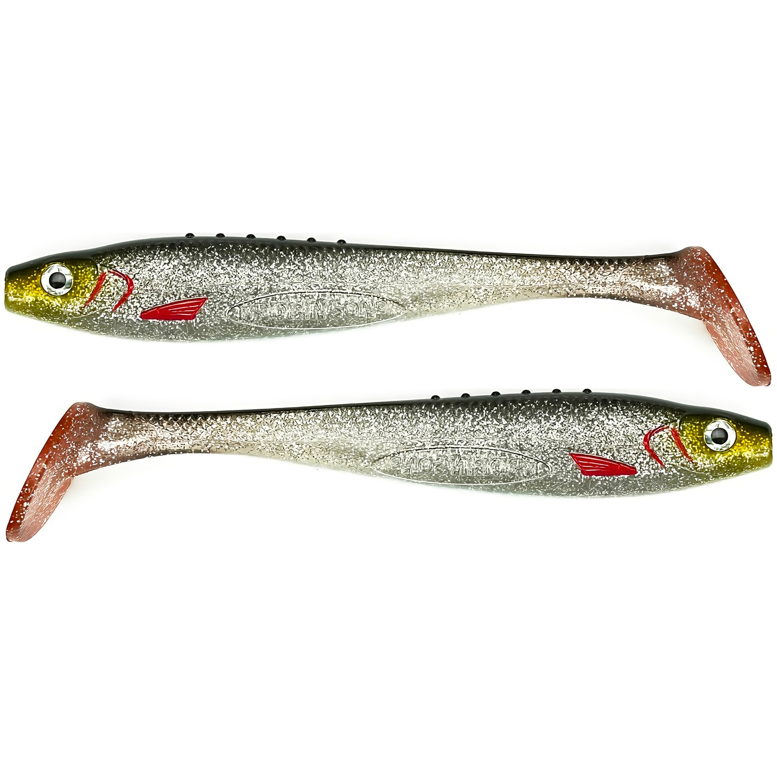 Silver Shiner 1.png